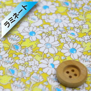 oeBEt@ubNX ^i[y~l[gHziAlice Neon CG[/u[lIjAXElIyDC32677EJ23Dz