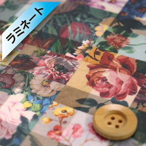 リバティ・ファブリックス タナローン【ラミネート加工】(ARCHIVE GINGHAM カラフル)アーカイブ・ギンガム【363J6819・A】