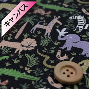 oeBEt@ubNX y11z/CNWFbgziLouie's Jungle O[x[W/ubNnjCYEWO y363J6440EAz