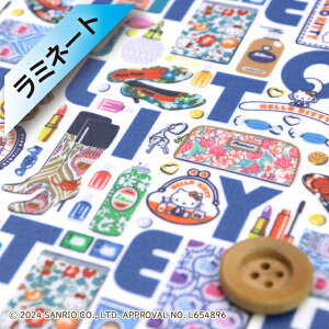 n[LeB×oeBEt@ubNX ^i[y~l[gHziHello Kitty Necessities n[LeBElZVeB[Yju[yDC34426EJ24Az