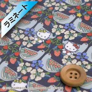 n[LeB×oeBEt@ubNX ^i[y~l[gHziStrawberry Day Xgx[EfCjlCr[yDC34427EJ24Bz