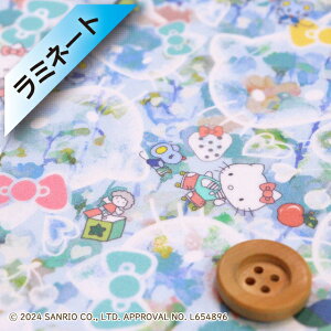 n[LeB×oeBEt@ubNX ^i[y~l[gHziBubble Dreams ouEh[XjCgu[yDC34429EJ24Az