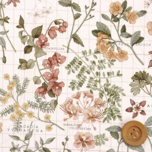 oeBEt@ubNX ^i[iBotanist's Journey {^jXgYEW[j[jCguEy24-3634234E24BUz