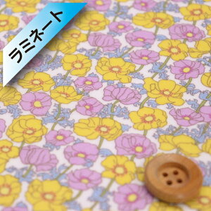 oeBEt@ubNX ^i[y~l[gHziCharmian CG[jV[~Ay24-3634117E24BUz