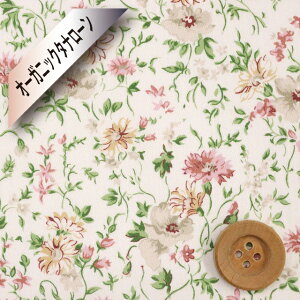 oeBEt@ubNX I[KjbN^i[iBeatrice sN/njxAgXy157J912EAz