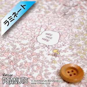 yThEIWiJ[zPEANUTSiTMj×oeBEt@ubNX ^i[y~l[gHziWoodstock Day TNpXejEbhXgbNEfCyDC33936EJ24Fz