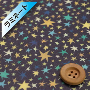 oeBEt@ubNX ^i[y~l[gHziStarstruck X^[XgbNjlCr[ny363J4205EDUz