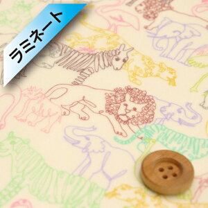 ���o�e�B�E�t�@�u���b�N�X �I�[�K�j�b�N�^�i���[���y���~�l�[�g���H�z�iNeon Safari �l�I���E�T�t�@���j�J���t��/�����n�y25-157J74910�E25AU�z