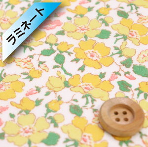 oeBEt@ubNX ^i[y~l[gHziMrs Stoneley ~ZXEXg[[jCG[y25-3635123E25CUz