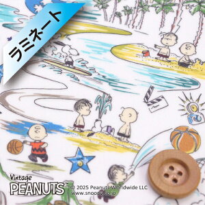 PEANUTS×oeBEt@ubNX ^i[y~l[gHziSunny Holiday Tj[EzfBjO[CG[yDC34860EJ25Cz