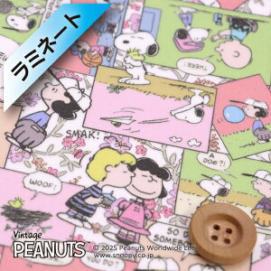 PEANUTS×oeBEt@ubNX ^i[y~l[gHziComic Strip Cosmos R~bNEXgbvERXXjsNyDC34865EJ25Dz