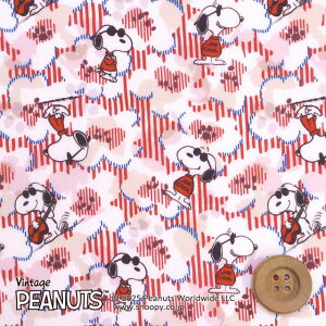 PEANUTS×oeBEt@ubNX ^i[iJoe Cool W[EN[jbhyDC34861EJ25Az