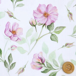 oeBEt@ubNX ^i[iGreenaway's Rose O[iEFCYE[Yjp[vy25-3635110E25BUz