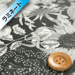 リバティプリント タナローン【ラミネート加工】(Swim Dunclare スイム・ダンクレア)ブラック【5672151S・TE】