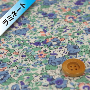 oeBvg ^i[y~l[gHziClaire-Aude NAEI[hjCgu[O[y3332022EAEz