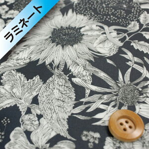 oeBvg ^i[y~l[gHziSwim Dunclare XCE_NAjlCr[y5672151SEZEz