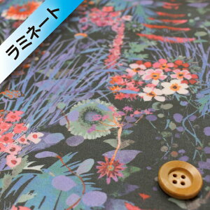 oeBEt@ubNX ^i[495y~l[gHziTresco gXRjubNp[v