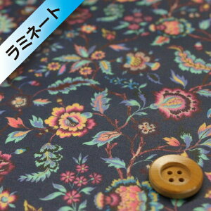 oeBEt@ubNX ^i[497y~l[gHziParadise Paisley p_CXEyCY[jlCr[