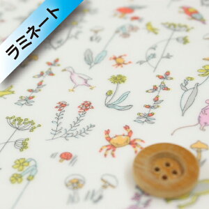 oeBvgysJf[|v/~l[gHziTheo ZIjpXeu[y3635176z