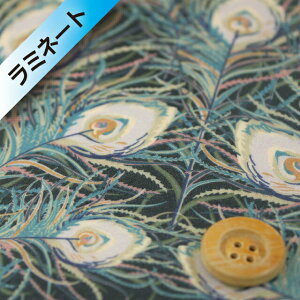 oeBvg ^i[y~l[gHz702iJuno Feather Wm[EtFU[jO[y2349001z