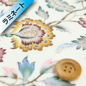 oeBEt@ubNX ^i[y~l[gHziEva Belle G@ExjCG[Cbhy3639036EBEz