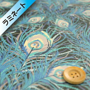 oeBvg ^i[y~l[gHz702iJuno Feather Wm[EtFU[ju[y2349001z