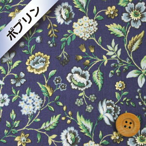 oeBEt@ubNXysJf[|vziMassard }bT[hjlCr[yDC25051SPEYPz