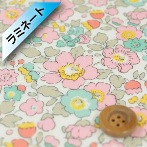 oeBvg ^i[y~l[gHziBetsy xbcBjCgsNO[/y[y3332019EXEz