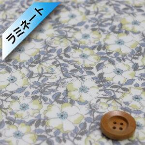 oeBvg ^i[y~l[gHziMay Morris CEXjO[CG[y19-1229214EXEz