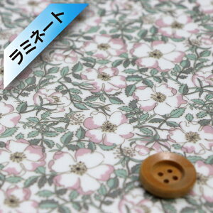 oeBvg ^i[y~l[gHziMay Morris CEXjX[L[O[sNy19-1229214EYEz