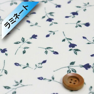 oeBEt@ubNX ^i[y~l[gHziDemi f~ju[y98-3638259EBEz