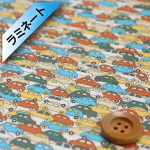 oeBvgysJf[|v/~l[gHziCARS J[YjO[IWy09-3639172EAPz