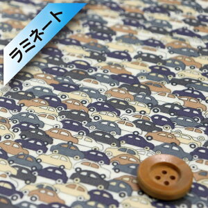 oeBvgysJf[|v/~l[gHziCARS J[YjO[y09-3639172EDPz