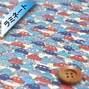 oeBvgysJf[|v/~l[gHziCARS J[Yju[bhy09-3639172EZPz