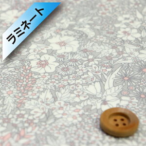 oeBvg ^i[y~l[gHziPatrick Gordon pgbNES[hjCgO[y3801160EVEz