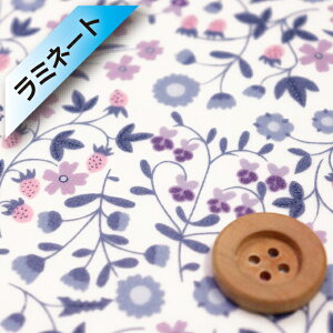 oeBvg ^i[y~l[gHziLittle Mirabelle X[L[p[vjgE~xy3632003EZEz