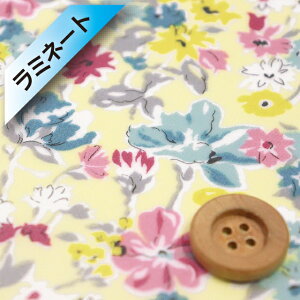 oeBvg ^i[y~l[gHziCalifornia Bloom CgCG[jJtHjAEu[y3639125EZEz