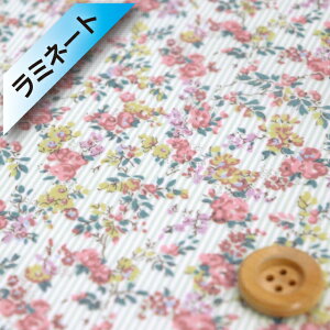 oeBvg ^i[y~l[gHziGarland Stripe sNO[jK[hEXgCvyDC33549EXEz