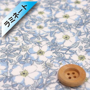 oeBEt@ubNX ^i[y~l[gHziMay Morris CEXju[CG[y19-1229214EUEz