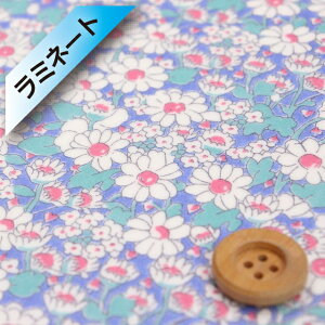 oeBEt@ubNXysJf[|v/~l[gHziAlice W AXWju[sNy15-3635152EWPz