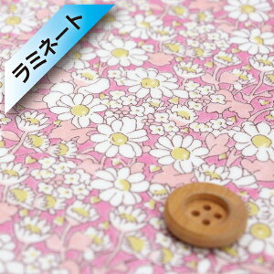 oeBEt@ubNXysJf[|v/~l[gHziAlice W AXWjsNCG[y15-3635152EXPz