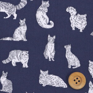 oeBEt@ubNX ^i[iMEOW ~IEjlCr[yDC32576EVEz