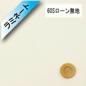 y~l[gHz60S[niICX^[zCgji66000E10j