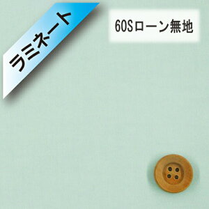 y~l[gHz60S[niy[O[ji66000E100j