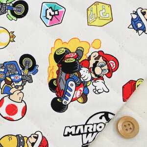 �iNintendo�j�}���I�J�[�g���[���h�^���C�g�O���[�y���j�L���e�B���O���n�z