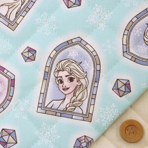 Disney2025 BTSV[Y@AiƐ̏^Cgu[yjLeBOnz