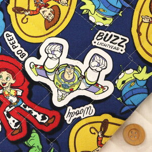 Disney2025 BTSV[Y@gCEXg[[^lCr[yjLeBOnz