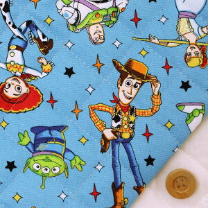 Disney2024 BTSV[Y@gCEXg[[@^Cgu[yjLeBOnz