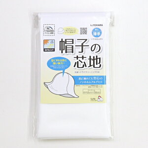 \tgȎdオ聝 Xq̐cnyЖ/ 112cm×50cmzySUN50-171z