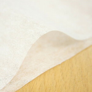 z[\[COENtgpڒcnysDz/Ж//1mPʁzyK-003z